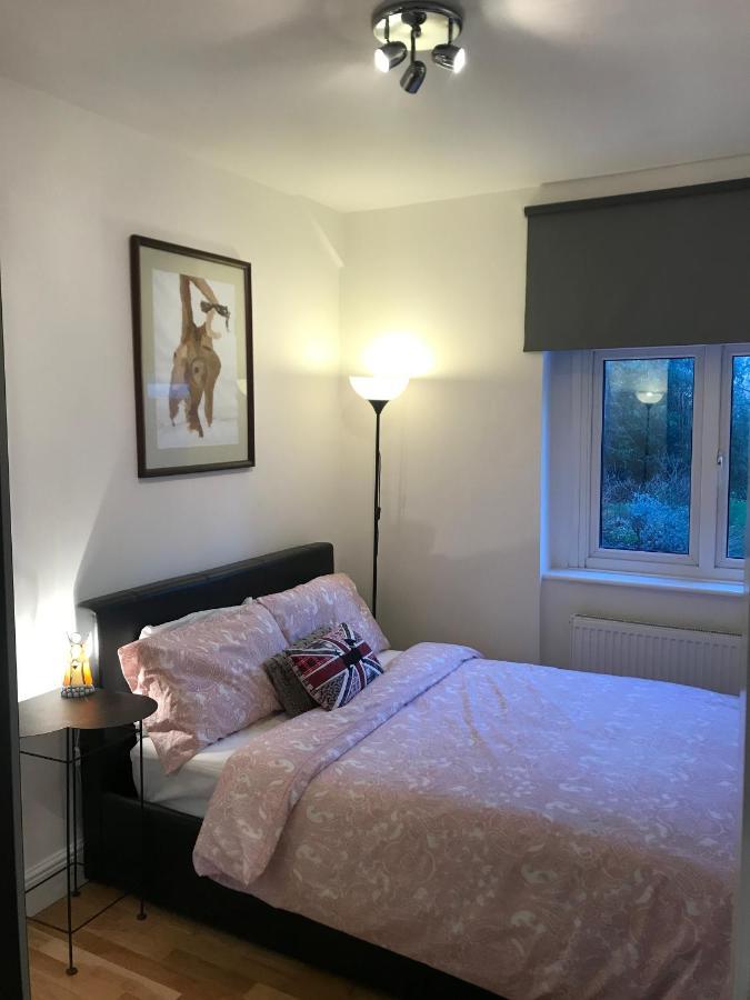 Bright Balham Apartment Лондон Экстерьер фото